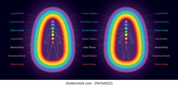 Aura layers and coherent chakras of a male and a female body. Rainbow colored subtle energy surrounding a love couple. Labeled vector illustration chart.
