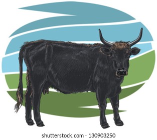 Aurochs (Bos Primigenius) Vector Illustration