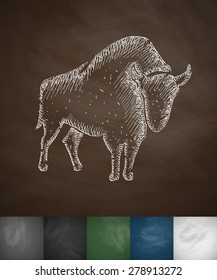 aurochs icon. Hand drawn vector illustration. Chalkboard Design