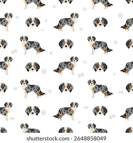 Aussalier clipart. Australian Shepherd Cavalier King Charles Spaniel mix. Different coat colors set.  Vector illustration
