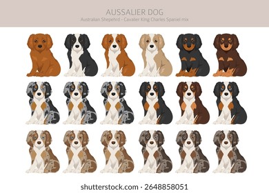Aussalier clipart. Australian Shepherd Cavalier King Charles Spaniel mix. Different coat colors set.  Vector illustration
