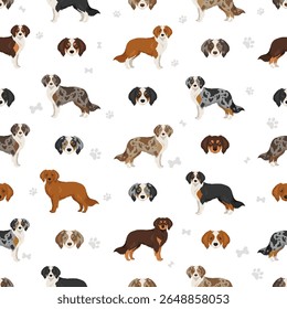 Aussalier clipart. Australian Shepherd Cavalier King Charles Spaniel mix. Different coat colors set.  Vector illustration