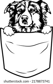 Aussie Austrailian shepherd Dog EPS VECTOR pocket art