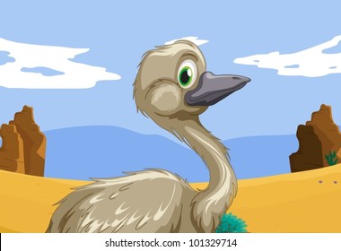 Aussie emu in the outback