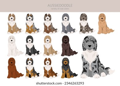 Aussiedoodle clipart. Aussie Poodle mix. Different coat colors set.  Vector illustration