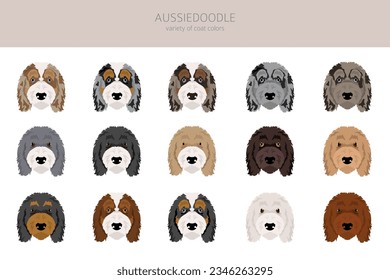 Aussiedoodle clipart. Aussie Poodle mix. Different coat colors set.  Vector illustration