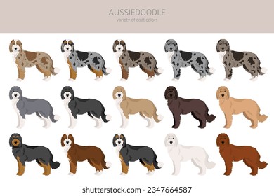 Aussiedoodle Clip Art. Aussie Poodle Mix. Verschiedene Farben für den Mantel.  Vektorgrafik