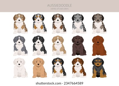 Aussiedoodle clipart. Aussie Poodle mix. Different coat colors set.  Vector illustration