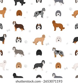 Aussiedoodle clipart. Pastor australiano Poodle mix. Diferentes cores de casaco definido.  Ilustração vetorial