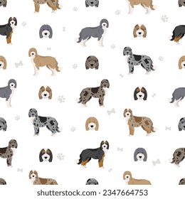 Aussiedoodle seamless pattern. Aussie Poodle mix. Different coat colors set.  Vector illustration