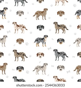 Aussiedor seamless pattern. Australian shepherd Labrador Retriever mix. Different coat colors set.  Vector illustration