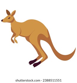 australia animal kangaroo illustration isolated