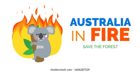 Australia In Fire Koala Bear On The Tree Ecology Catastrophe Banner Design