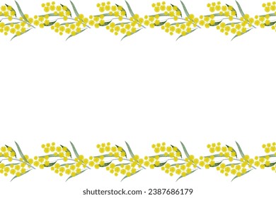 Australia flower yellow golden wattle (Acacia pycnantha Benth) Australia's national day floral emblem background frame border banner. Vector illustration 