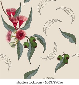 Australia Gum Nut And Flower Seamless Pattern