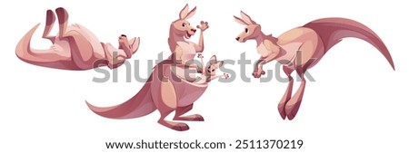 hello! kangaroo Kangaroo