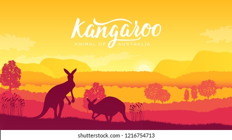 Australia Kangaroo On Landscape Nature Background. Wild Animals In Their Natural Habitat. Sunrise Vector