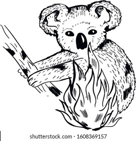 Australia, Koala Bear In Fire , Animals Vector Seamless Pattern On White Background . Concept  For Print, Logo, Icon ,cards