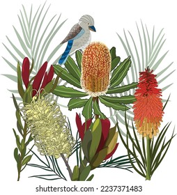 australia native flowers  with gravellia,leucadendron and eucalyptus leaf on white background in vector illustrator svg