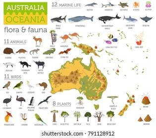 Australia And Oceania Flora And Fauna Map, Flat Elements. Animals, Birds And Sea Life Big Set. Build Your Geography Infographics Collection. Vector Illustration
