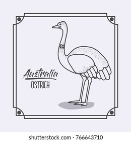 australia ostrich in frame and monochrome silhouette