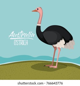 australia ostrich poster with outdoor scene in colorful silhouette