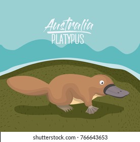 australia platypus poster in colorful outdoor scene