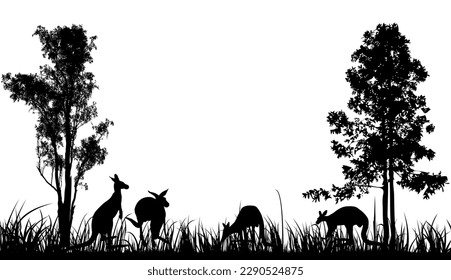 Australia silhouette of four kangaroos feed in the long grass