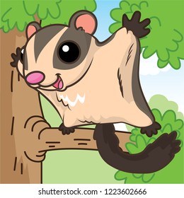 Australia sugar glider cartoon, cartoon cute, animal cute