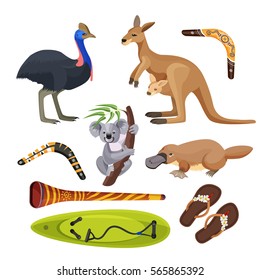 Australia symbols set isolated on white. Flightless bird ostrich, koala on tree branch, kangaroo with joey, surfboard and two boomerangs, duck-billed platypus, didgeridoo wind instrument vector