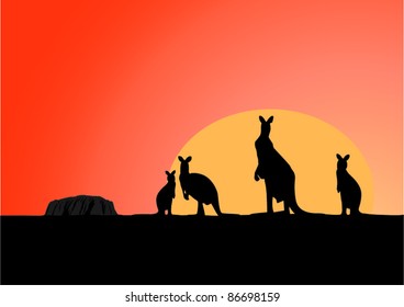 Australia view at early morning with standing kangaroo