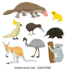 Australia wild animals cartoon popular nature characters flat style mammal collection vector illustration.