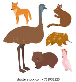 Australia wild animals cartoon popular nature characters flat style mammal collection vector illustration.