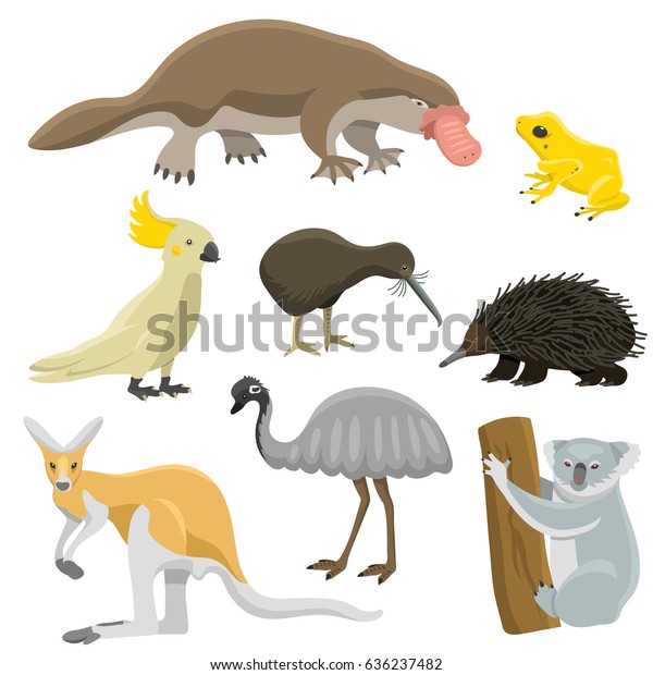 Australia Wild Animals Cartoon Popular Nature Stock Vector (Royalty ...