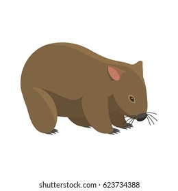 Australia wild badger animal cartoon popular nature character flat style mammal vector illustration.