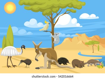 Australia wild life animals vector illustration. Ostrich, kangaroo, kiwi bird, porcupine and platypus australian mascot characters