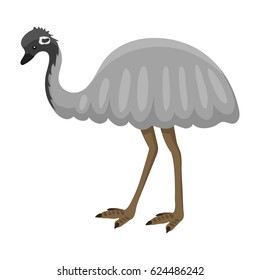Australia wild ostrich animal cartoon character flat style bird emu forest vector illustration.