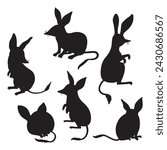 Australian animal bilbies set. Isolated black silhouette drawings. Vector illustration