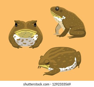 Australian Animal Cane Toad Cartoon Vector Illustration