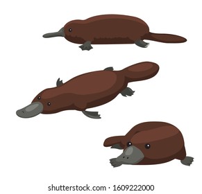 Australian Animal Platypus Cartoon Vector Illustration