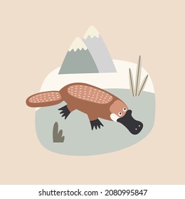 australian animal platypus near the water, vector illustration in cartoon style