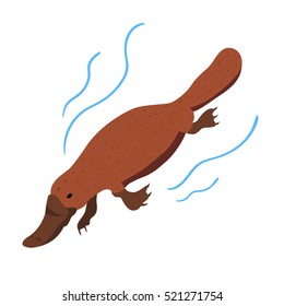 Australian animal Platypus. Vector illustration.