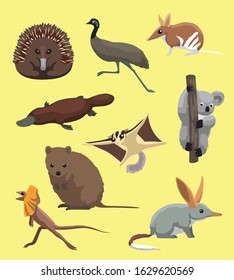 Australian Animal Quokka Sugar Glider Platypus Emu Cute Cartoon Illustration