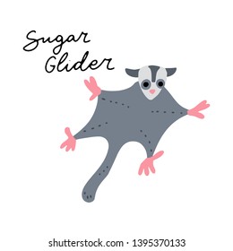 Australian Animal Sugar Glider vector illustration clipart. Kids design poster. 
Wild mammal drawing in scandinavian style. Handwritten lettering. Exotic wildlife. 