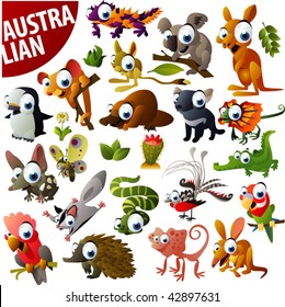 australian animals big vector set