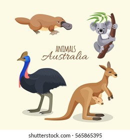 Australian animals collection of brown kangaroo with child in pocket on belt, grey koala on branch with leaves, duck-billed platypus and black ostrich. Vector poster of australian inhabitants