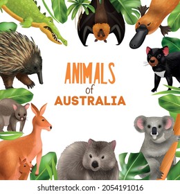 Australian animals composition with editable ornate text surrounded by animal images with exotic plants tropical leaves vector illustration