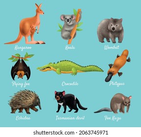 Australian animals design concept with kangaroo koala wombat flying fox crocodile platypus echidna tasmanian devil fox kuzu descriptions