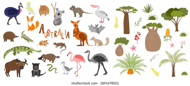 Animales y flora australianos. Personajes australianos para los niños. Ilustración del bebé. Fondo vector colorido dibujado a mano. Flora y fauna. Animales salvajes.