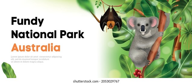 Australian animals horizontal poster with images of koala and rat with exotic leaves and editable text vector illustration